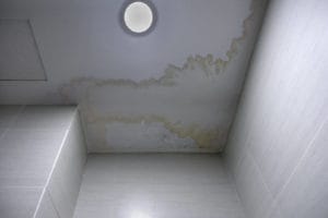 mildew stains at ceiling 2021 08 31 21 56 49 utc