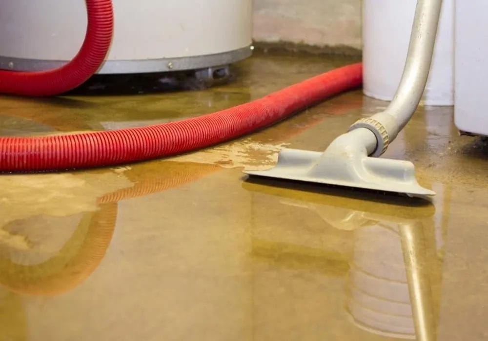 sewage backup cleanup sewage backup cleanup