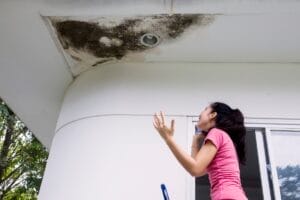 mold on walls