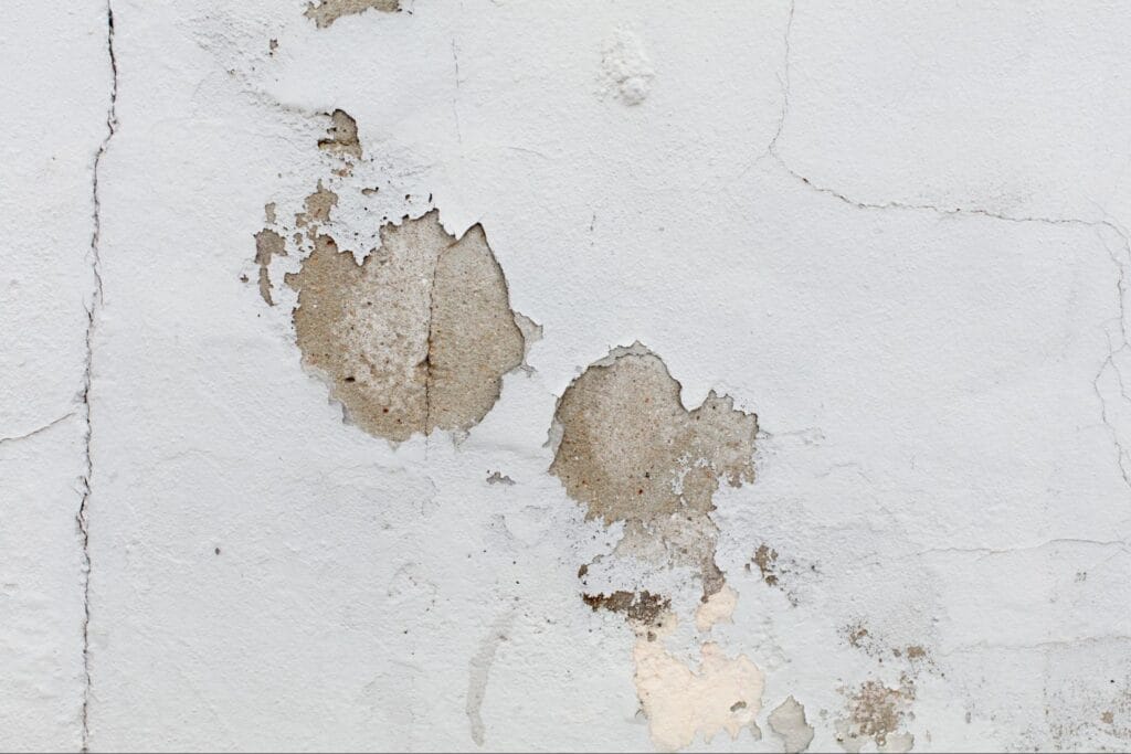 damaged walls from mold